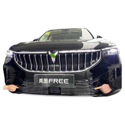 岚图FREE改装饰条中网前脸防虫网