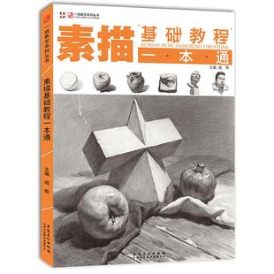 素描基础教程一本通美术绘画零基础单个组合静物几何体人物头像五官石膏像结构明暗步骤解析手绘自学画画素描书入门教材临摹画册书