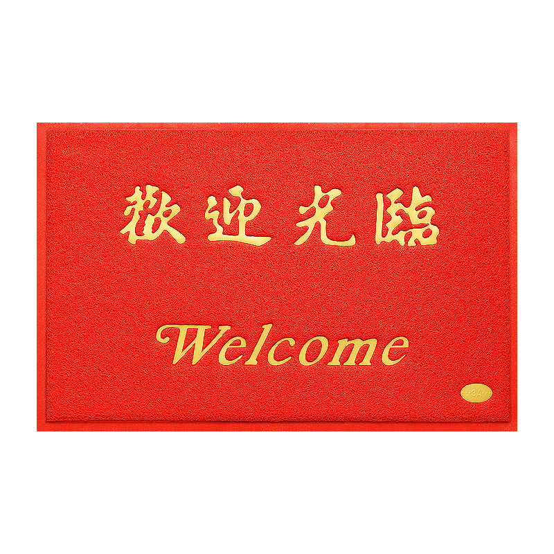 大门口出入平安地垫进门厅丝圈