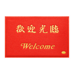 大门口出入平安地垫进门厅塑料丝圈欢迎光临脚垫地毯入户门垫定制