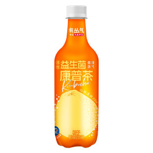 【新品】有丛气清爽解腻0脂柚子单丛康普茶饮料500ml果汁汽泡茶
