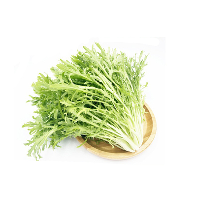 苦细叶新鲜苦叶生菜蔬菜狗牙菜