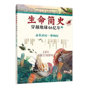 生命简史 穿越地球46亿年 前寒武纪 奥陶纪 6-12-15岁儿童中小学生青少年科普读物 宇宙起源地球形成生命诞生史前世界探索图书籍