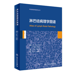 淋巴结病理学图谱 本书涵盖了淋巴结病理诊断中所能遇到的所有疾病 陈健 董红岩 主译 2018年9月出版 人民卫生出版社9787117269537