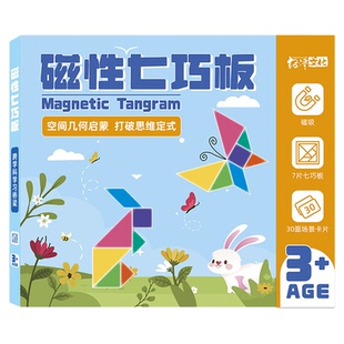 亲子游戏儿童早教启蒙玩具益智3-8岁彩色磁性七巧板拼图几何积木