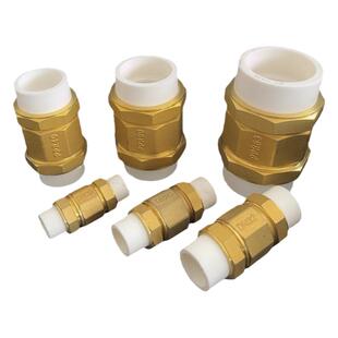 黄铜PPR立式止回阀活接热熔水管弹簧单向逆止阀防倒流垂直安装加