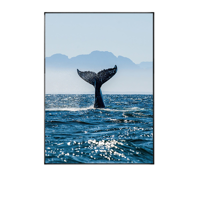大海滩鲸鱼风景蓝色客厅挂画