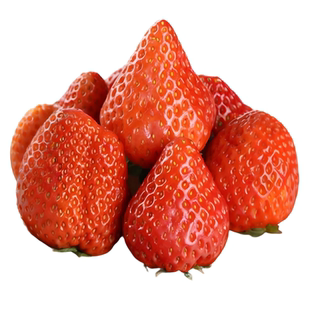 正宗丹东99草莓当季新鲜水果3斤红颜九九草莓礼盒装牛奶奶油草莓
