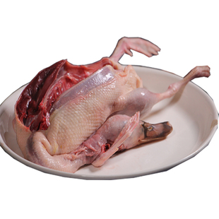 鸭洪湖绿头鸭会飞鸭子新鲜老鸭老母鸭麻鸭活体现杀冷冻特禽养殖