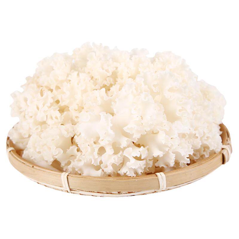 【现货】新鲜绣球菌2斤装 现摘云南食用菌鲜绣球菇鲜菌火锅鲜蘑菇