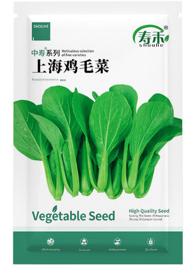 适合南方种的蔬菜种子大全四季生菜香菜菠菜3月份山东寿光籽种三