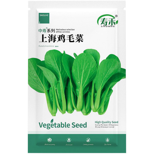 适合南方种的蔬菜种子大全四季生菜香菜菠菜3月份山东寿光籽种三