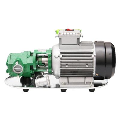 WCB电动抽油泵齿轮泵大流量高粘度自吸便携式柴油泵手提齿轮泵