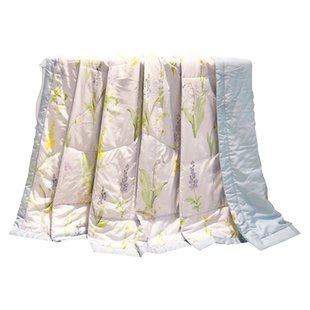 帝豪家纺 森物肌丝滑夏被 双面天丝空调被可水洗莱赛尔被芯