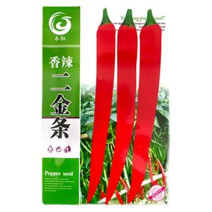 香辣二金条辣椒种子大金条长线椒种籽香辣四川海椒辣妹子蔬菜种孑