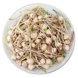 26年新货东北小根蒜野葱野蒜沙葱胡葱非薤白野生大脑蹦2斤5斤包邮