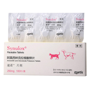 阿莫西林克拉维酸钾片宠物狗狗口炎猫咪速诺片消炎药速诺猫消炎片