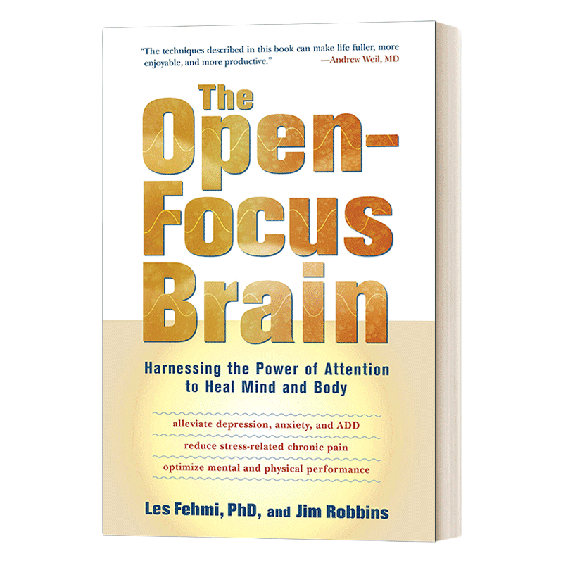 英文原版 The Open-Focus Brain 你用对专注力了吗 开放专注的大脑 利用注意力的力量来治愈身心  英文版 进口英语原版书籍