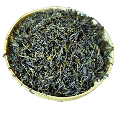 云南滇绿茶普洱老树春茶散茶清香