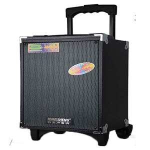 石泉蓝天数码科技特美声8寸拉杆音箱无线蓝牙带话筒木质音响可插U盘内存卡音箱