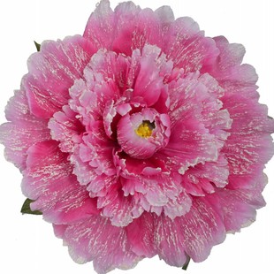 开场舞舞蹈道具手拿花跳舞表演手花牡丹花伞演出道具花朵广场舞花