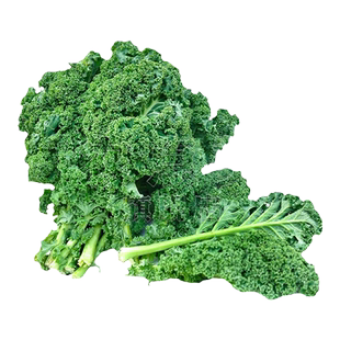 食用羽衣甘蓝种子耐寒甘蓝种籽皱叶甘兰种孑四季阳台盆栽蔬菜种子