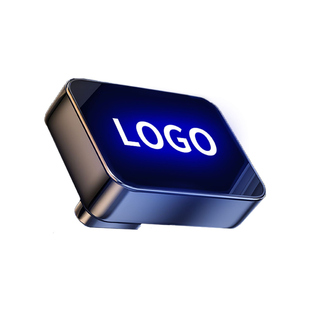 车载专用短款音乐U盘柏林之声隐藏式无损U盘车用听歌定制车标LOGO