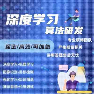 深度学习机器学习神经网络代做目标检测语义分割自然语言处理