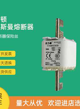 议价全新快速熔断器保险170M3308 170M3309 170M3310 170M3311