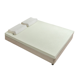 禧纪100d加硬高密度海绵床垫双人家用垫子单人学生宿舍榻榻米海棉