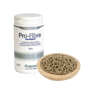 英国日日纤维益生菌颗粒兔子龙猫荷兰猪肠道消化调节治疗软便800g