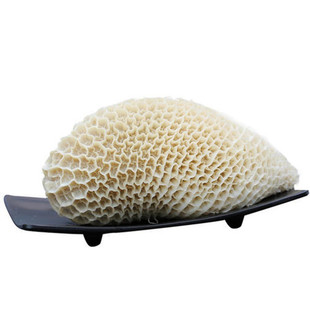 新鲜金钱肚 牛蜂窝肚 新鲜牛肚 牛胃500g 另有千层肚毛肚火锅食材