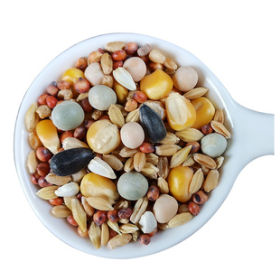 战鸽A级鸽粮玉米营养赛飞饲料赛信观赏肉鸽豌豆粮食鸟食50斤包邮