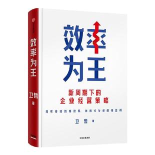 效率为王 阿里巴巴前CEO卫哲作品 嘉御资本 新周期下的企业经营策略 降低成本 提高效率 俞敏洪罗振宇等推荐 中信出版社图书 正版