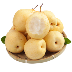 正宗梨子河北应季鸭梨新鲜产地10斤水晶脆梨冰糖脆甜多汁整箱包邮
