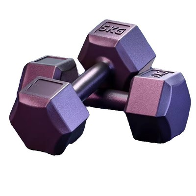 六角哑铃5kg一对男士健身家用器材女青少年宿舍10公斤儿童小亚铃