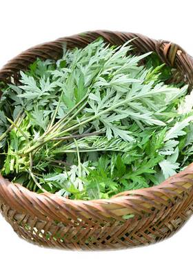 艾草新鲜食用蔬菜现摘清明草粑粑青团3斤艾叶新鲜艾草叶当季蔬菜