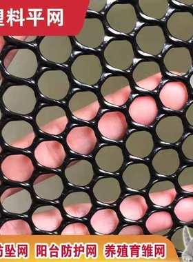 黑色养殖塑料平网鸡鸭鹅漏粪网阳台围栏防猫网安全网胶网脚垫网