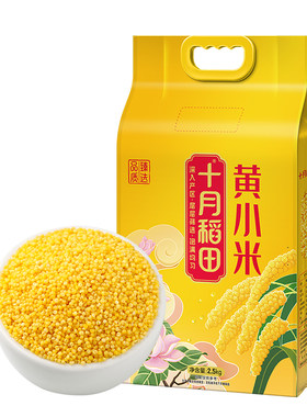 十月稻田黄小米米香浓郁