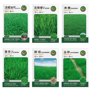 农科院草坪种子高羊茅狗牙草皮卷草籽孑早熟禾黑麦草庭院绿化护坡