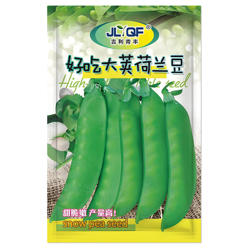 好吃大荚荷兰豆种子豌豆种籽