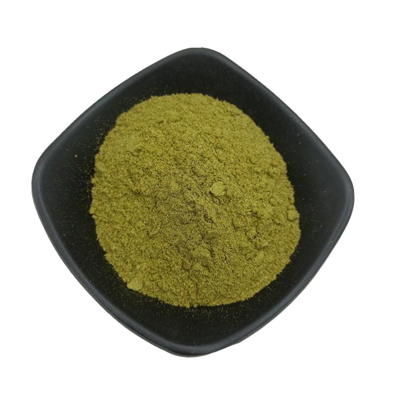松针粉中药材500克优质正品