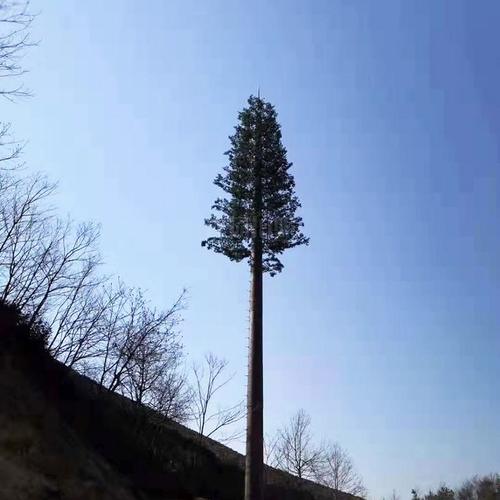 公园仿生树塔景区美化单管室外景观仿生树美化移动信号仿生树铁塔