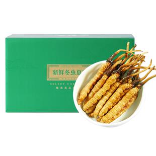 紫蓝花海新鲜冬虫夏草正品鲜虫草虫草鲜滋补补品礼盒