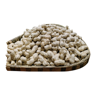 湘西本地小花生带壳生花生自然晒干新货湖南农家自种当季新鲜花生