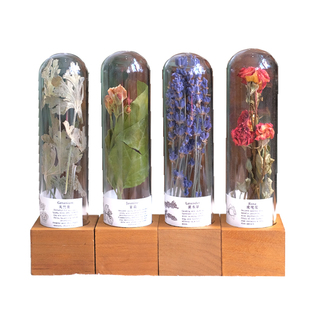 精油香薰植物标本摆件疗愈spa芳香干花材料文化展示养生美容试管