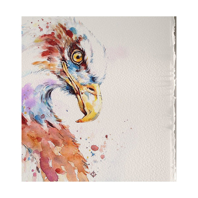 获多福棉浆水彩纸190g300g