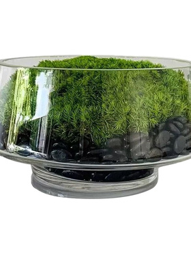 设计师原创简约现代仿真绿植摆件