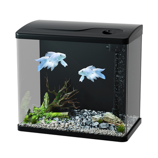 热弯黑背水族箱自循环过滤制氧家用超白玻璃鱼缸一体式大型桌面缸
