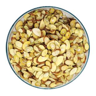 桑枝250-1000克中药材包邮新货另有槐枝柳枝桃枝桂枝麻叶五枝汤等